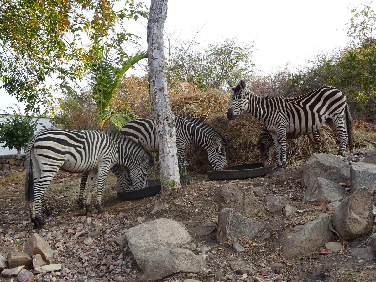 Lake Kariba Inns Сіавонга Екстер'єр фото